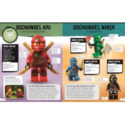 LEGO® NINJAGO® Lexikon der Minifiguren