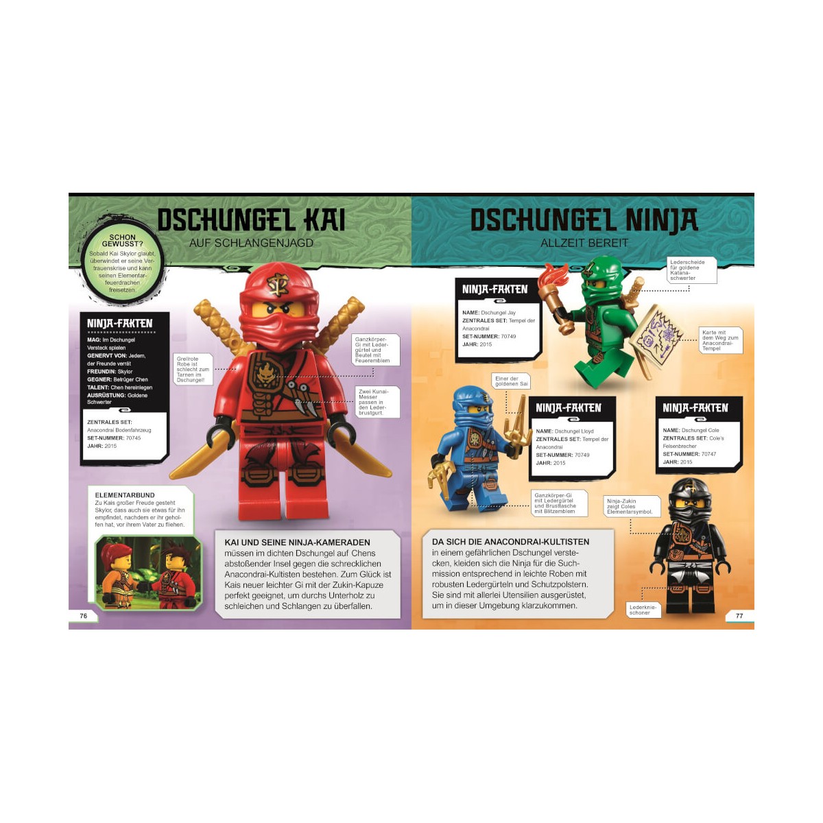 LEGO® NINJAGO® Lexikon der Minifiguren