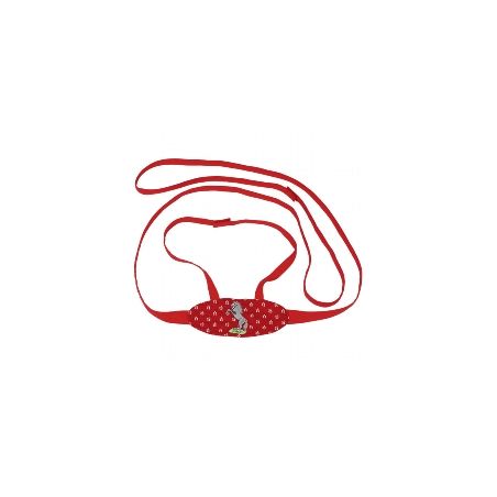 Pferdeleine mit Bestickung