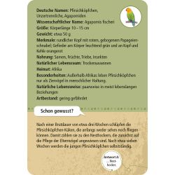 Expedition Natur 50 Zootiere Expedition Natur 50 Zootiere