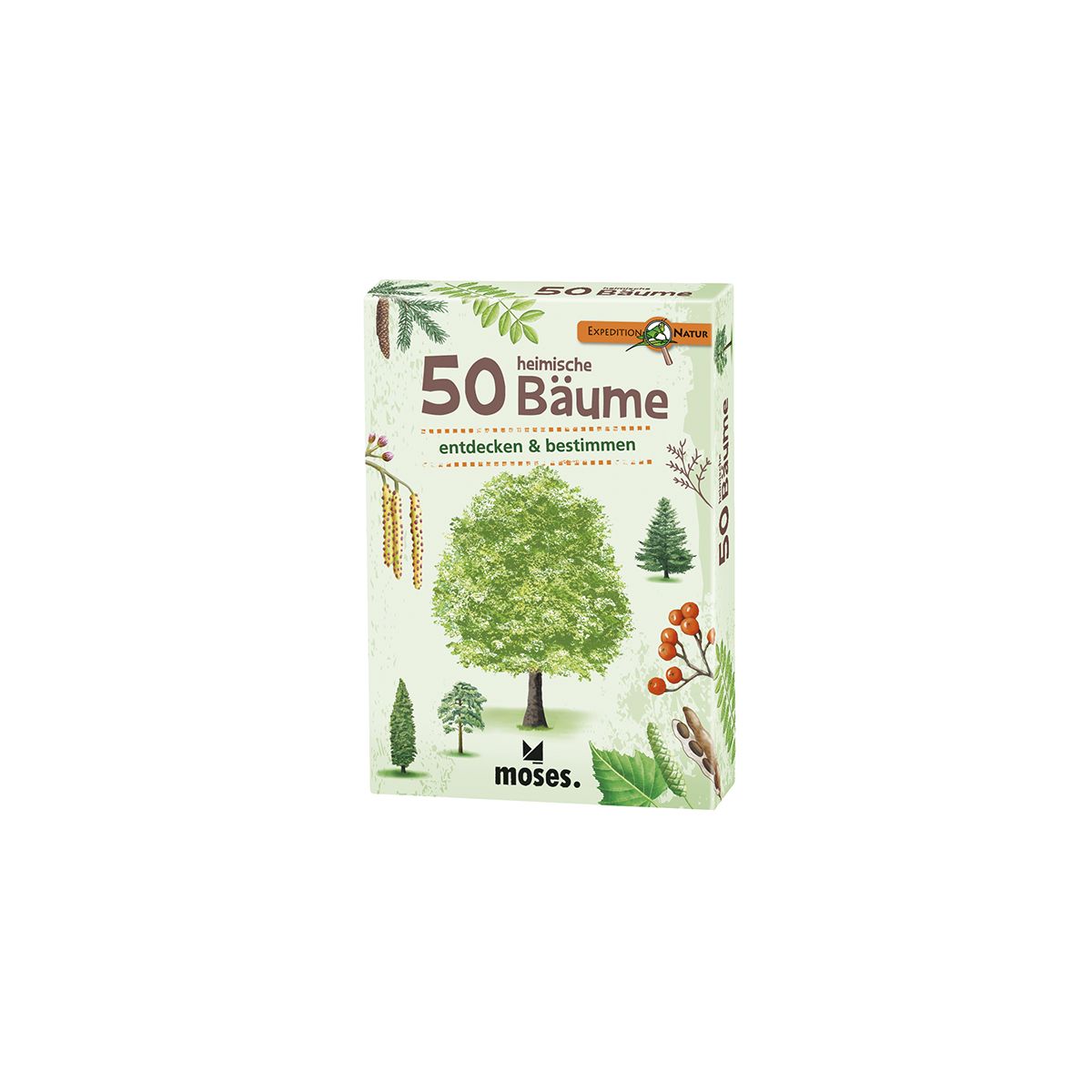 50 heimische Bäume