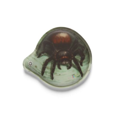Blinkie-Klettie - Spinne