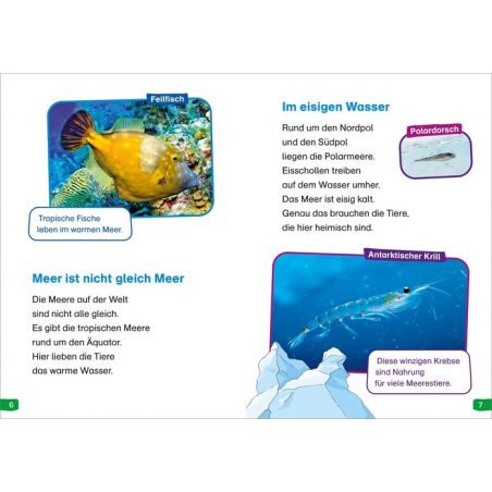 Tessloff WAS IST WAS Erstes Lesen easy! Band 2. Tiere im Meer Tessloff WAS IST WAS Erstes Lesen easy! Band 2. Tiere im Meer