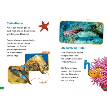 Tessloff WAS IST WAS Erstes Lesen easy! Band 2. Tiere im Meer Tessloff WAS IST WAS Erstes Lesen easy! Band 2. Tiere im Meer