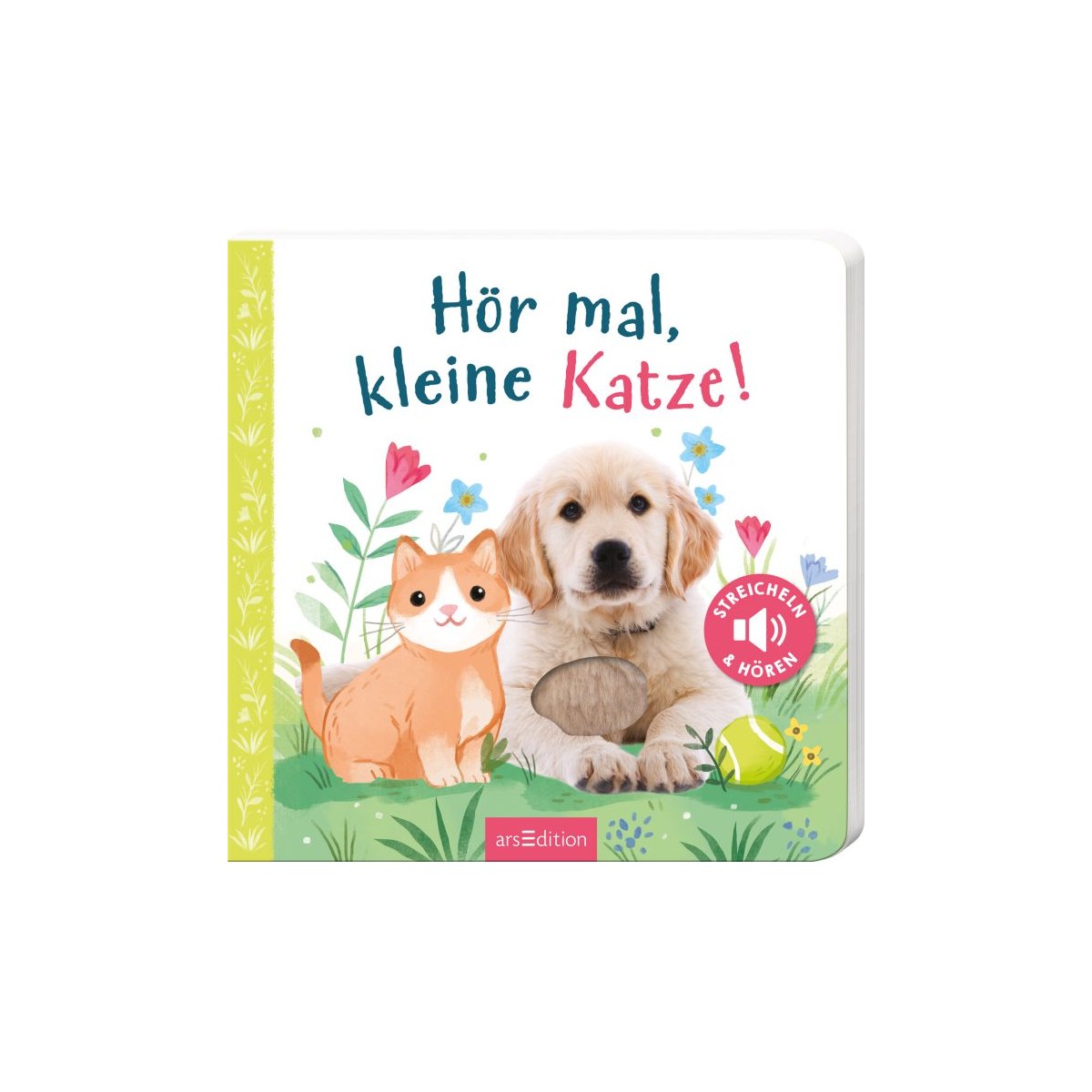 Hör mal, kleine Katze!