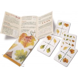 Nürnberger Spielkarten - Bunte Blätter