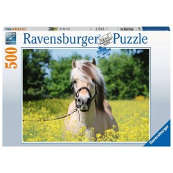 Ravensburger - Pferd im Rapsfeld
