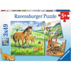 Ravensburger Spiel - Tiere illustriert, 3x49 Teile