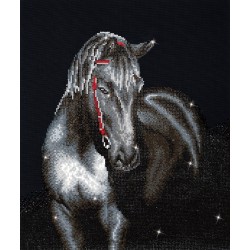 Diamond Dotz - Original Diamond Painting - Midnight Stallion 53 x 42 cm