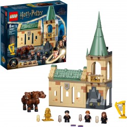 LEGO® Harry Potter 76387 - Hogwarts - Begegnung mit Fluffy