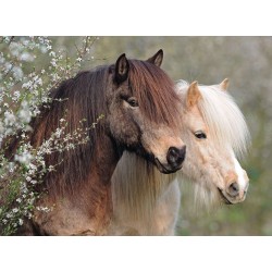 Ravensburger - Schöne Pferde, 150 Teile