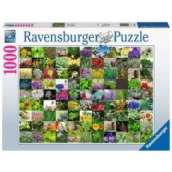Ravensburger Spiel - 99 Kräuter und Gewürze, 1000 Teile
