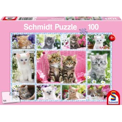 Schmidt Spiele - Puzzle - Katzenbabys, 100 Teile