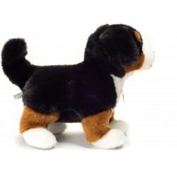 Teddy-Hermann - Berner Sennenhund Welpe stehend 23 cm