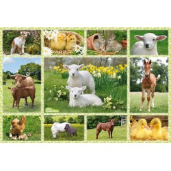 Schmidt Spiele - Puzzle - Tierkinder auf dem Bauernhof, 100 Teile