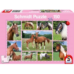 Schmidt Spiele - Puzzle - Pferdeträume, 150 Teile