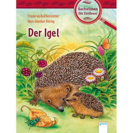 Arena Verlag - Sachwissen für Erstleser - Der Igel