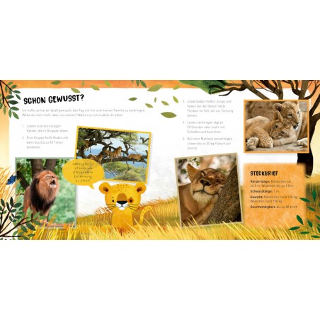 Disney Bambi beste Geschicht