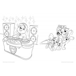 PAW Patrol PAWtastis Malbuch