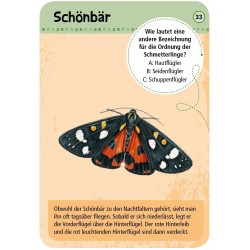 Expedition Natur - 50 heimische Schmetterlinge