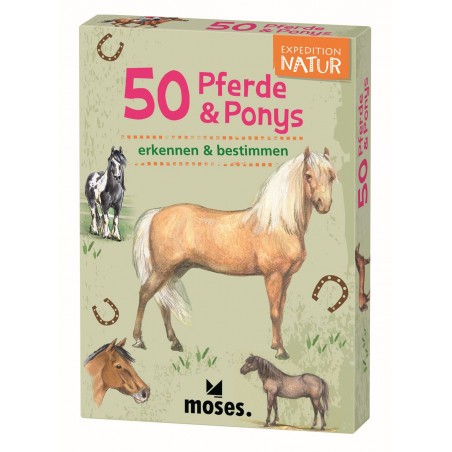 50 Pferde & Ponys