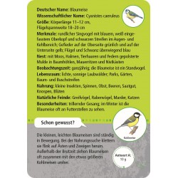 Expedition Natur - 50 heimische Tiere in Stadt & Garten