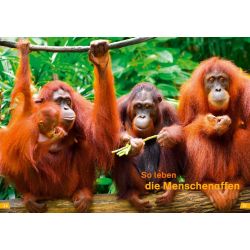 WAS IST WAS Erstes Lesen Band 22. Menschenaffen