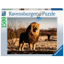 Ravensburger - Der Löwe. Der König der Tiere
