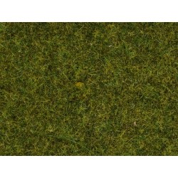 Noch - Streugras, Wiese