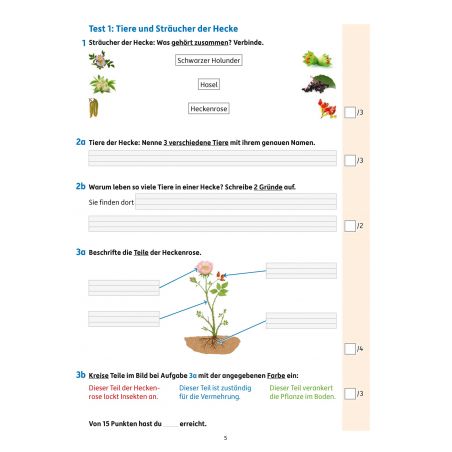 Tests im Sachunterricht - Lernzielkontrollen 2