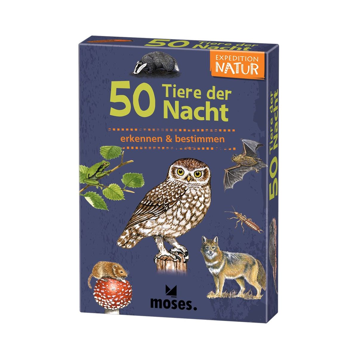 50 Tiere der Nacht