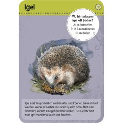 50 Tiere der Nacht 50 Tiere der Nacht