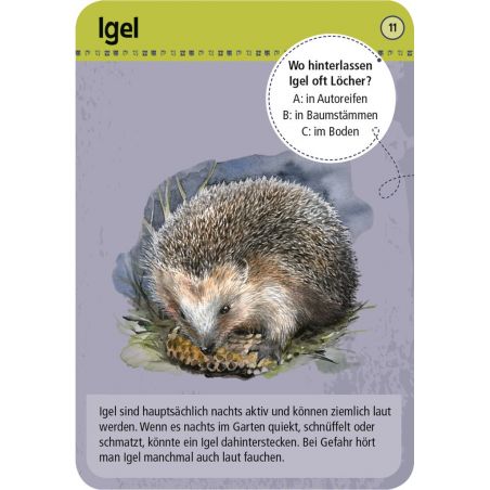 50 Tiere der Nacht 50 Tiere der Nacht