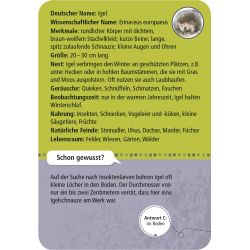 50 Tiere der Nacht 50 Tiere der Nacht