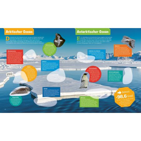 WAS IST WAS Stickerheft Ozean