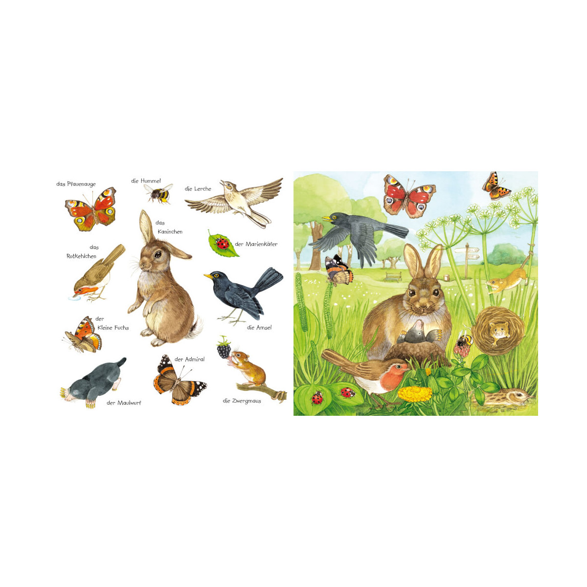 BiW” Tiere im Park + Garten