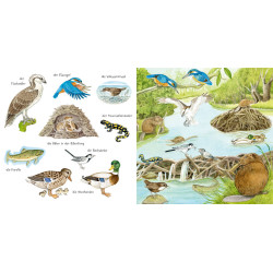 BiW” Tiere im und am Wasser