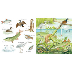 BiW” Tiere im und am Wasser
