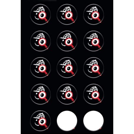 black stories junior Fußballfieber