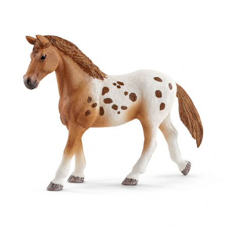 Schleich - Horse Club -  Lisas Turnier-Training