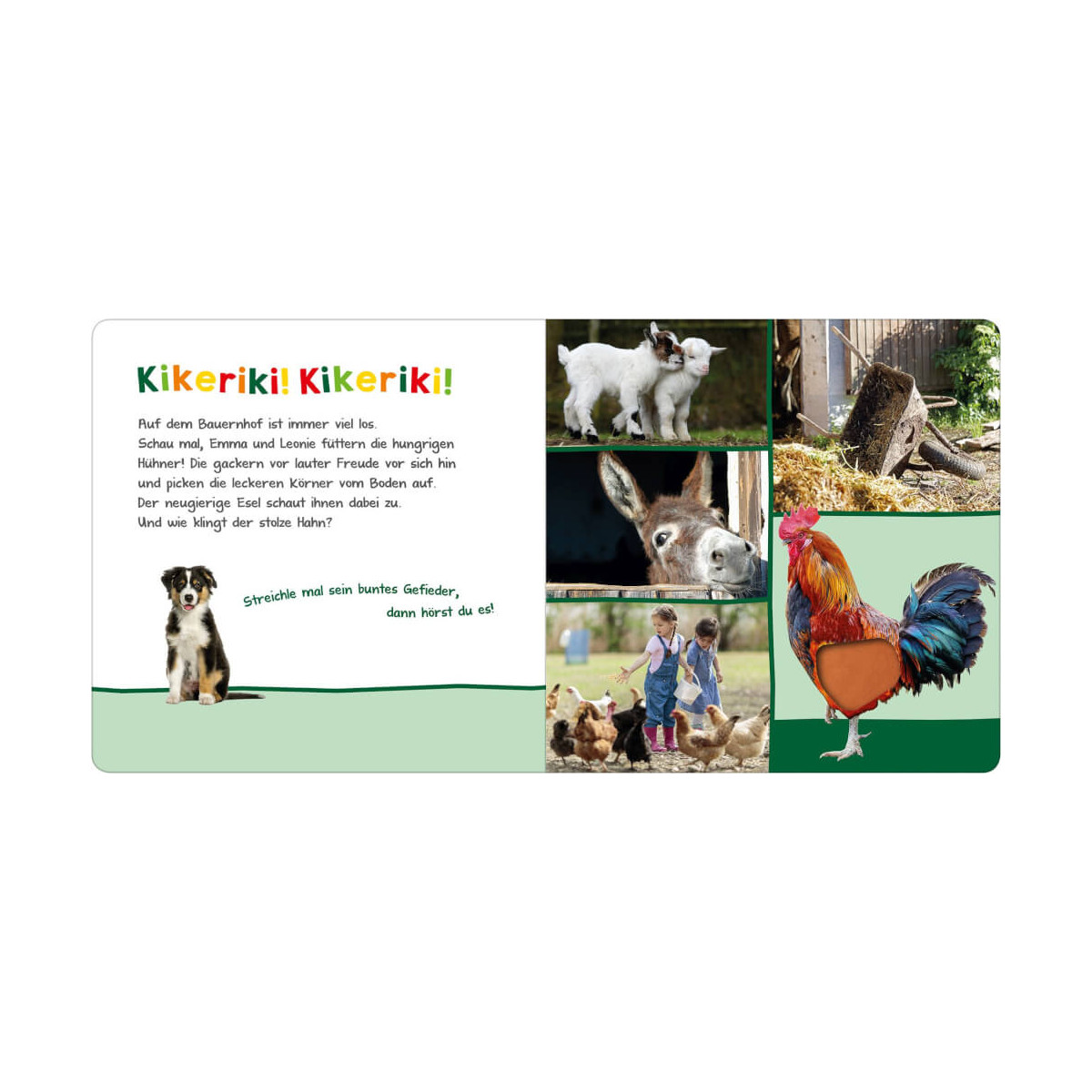 H”r rein: Bauernhof