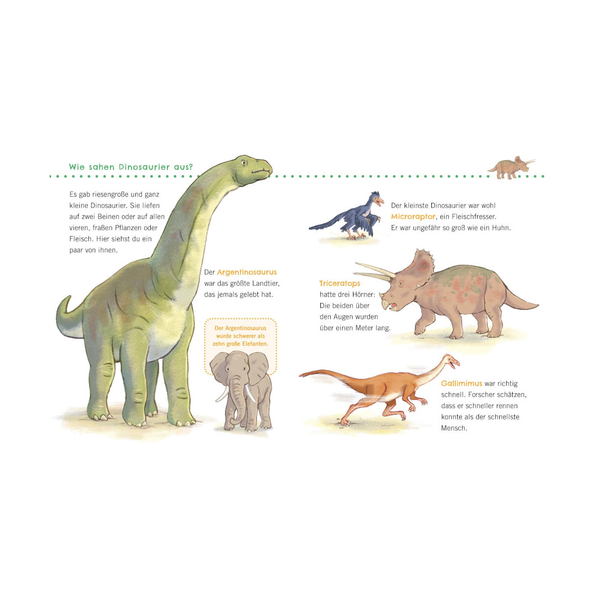 Unkaputt Erst. Wiss.Dinos.