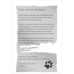 Mag. Pfoten: Freundinnen