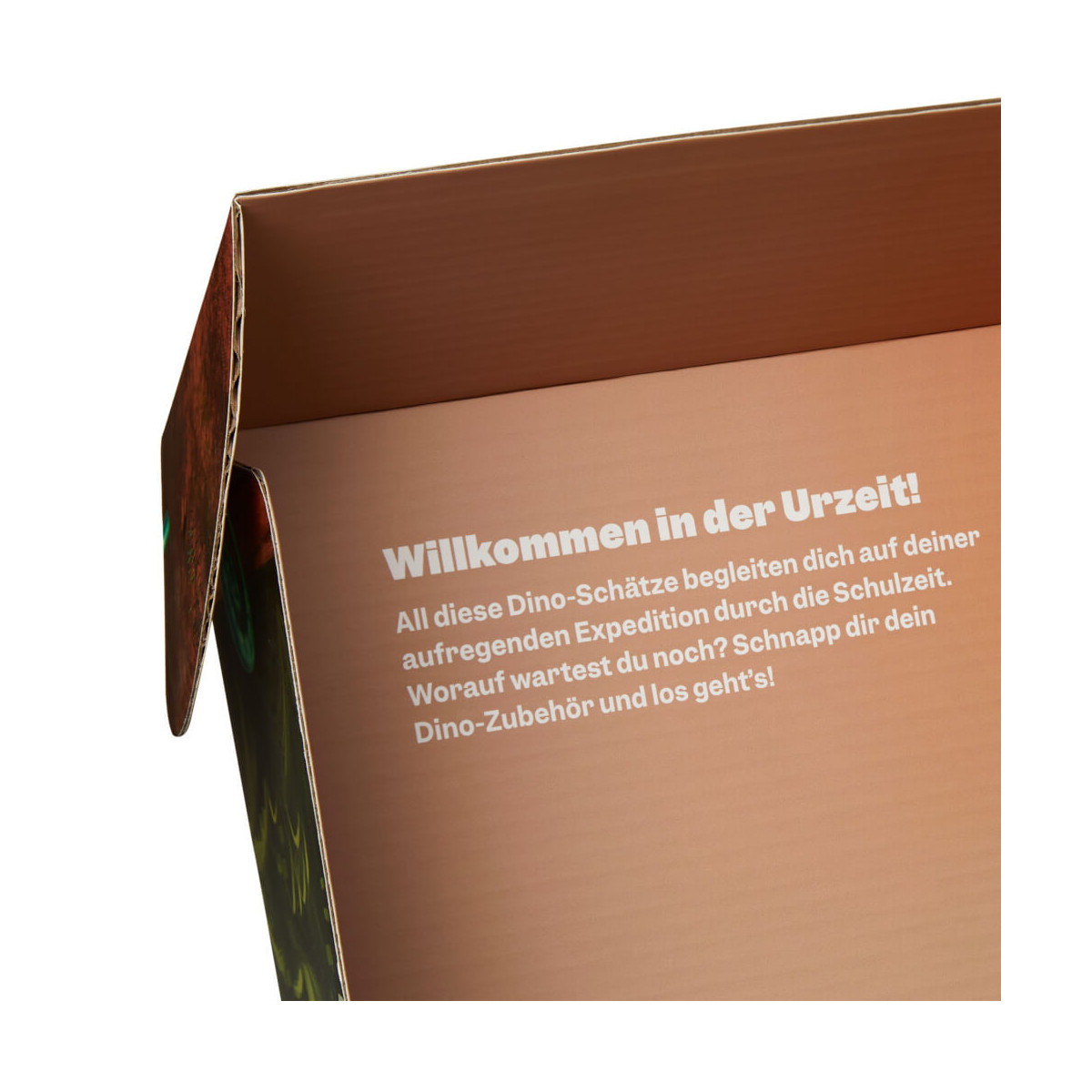 Dinosaurier - Fan-Box