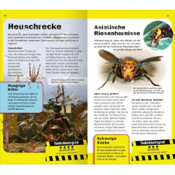 Die 100 t”dl. Dinge der Welt