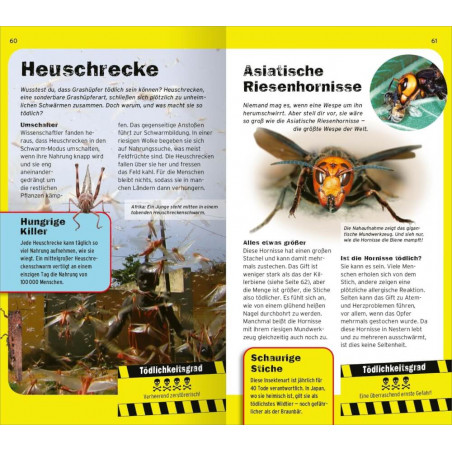 Die 100 t”dl. Dinge der Welt