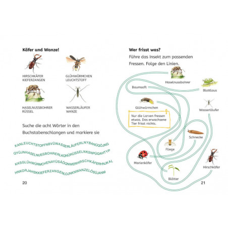 2.Kl. Naturraetsel Insekten