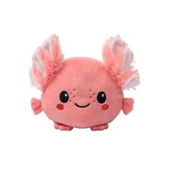 Wende-Axolotl Wende-Axolotl