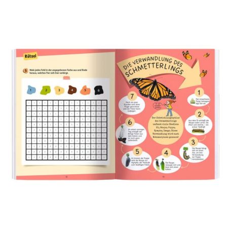 Rätseln - Insekten Rätseln - Insekten