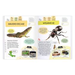 Rätseln - Insekten Rätseln - Insekten